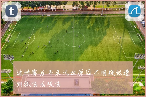 波特赛后耳朵流血原因不明疑似遭到抓伤或咬伤